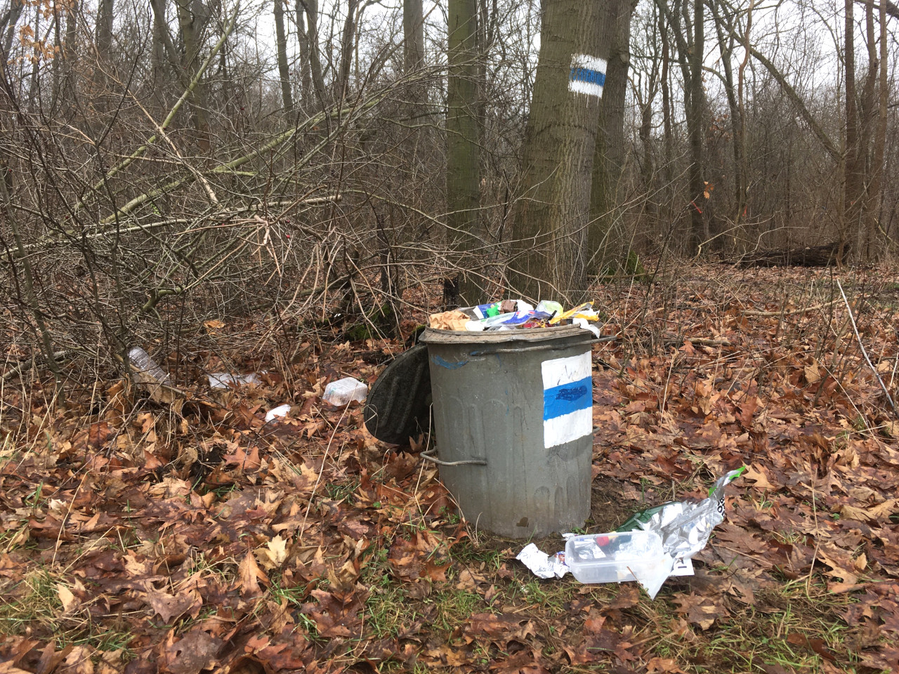 Überquellender Mülleimer im Naturschutzgebiet (Nord-West-Aue)