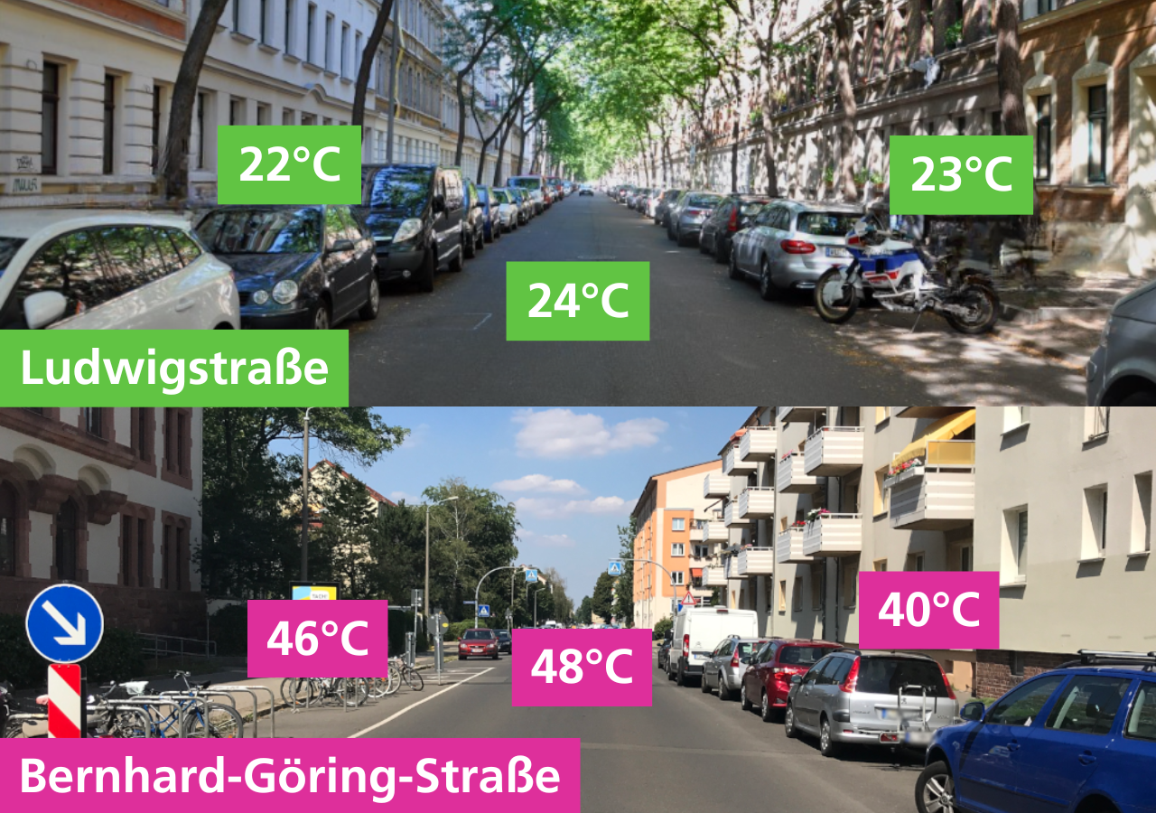 Hitze Straßenbäume