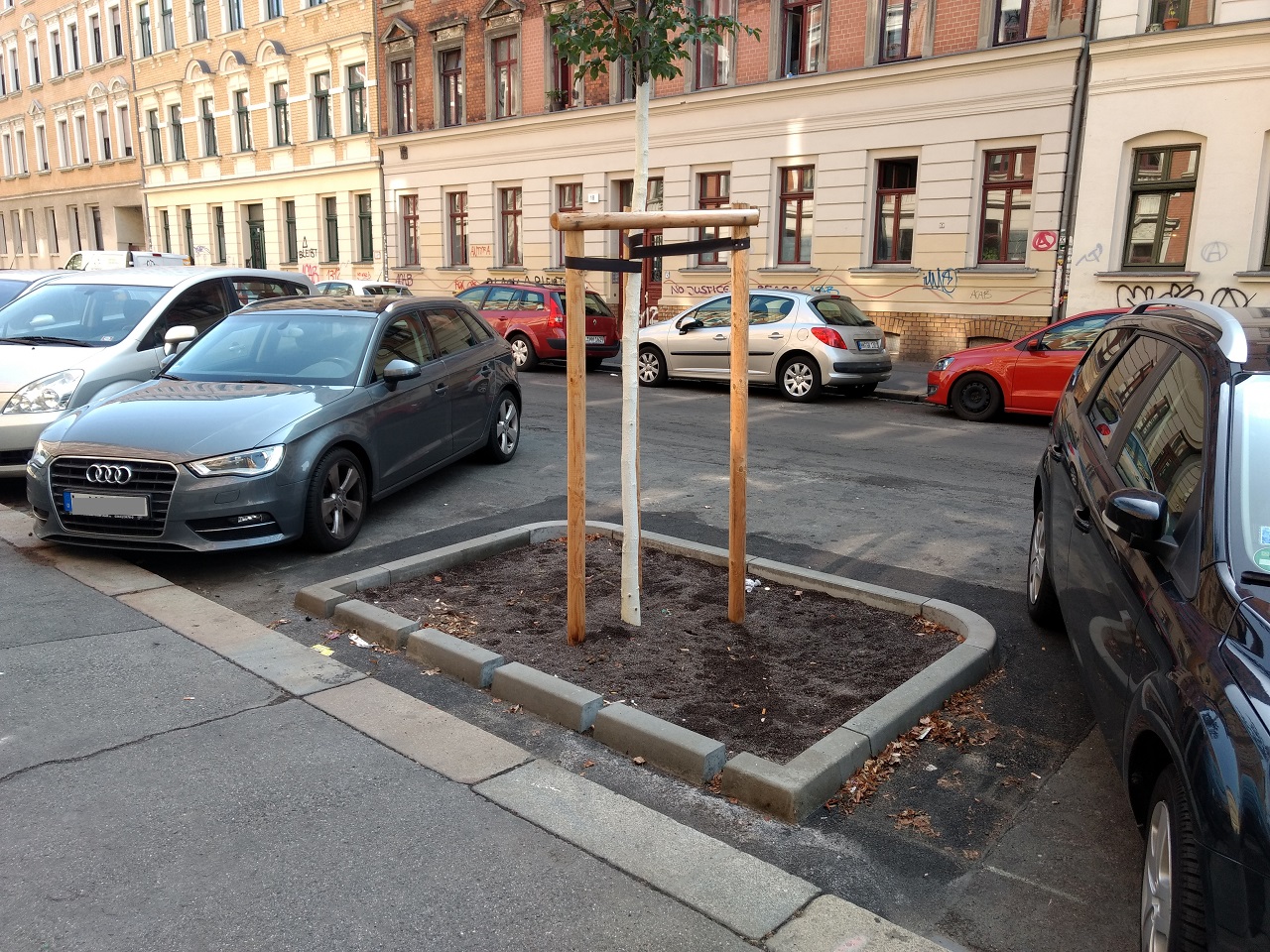 Straßenbaum nach dem Zwickauer Modell in der Pfeffingerstraße in Leipzig Connewitz