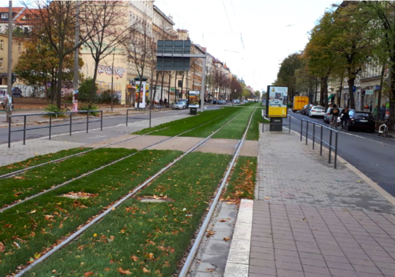 Das bestehende Rasengleis in der Karli im Bereich der Haltestelle