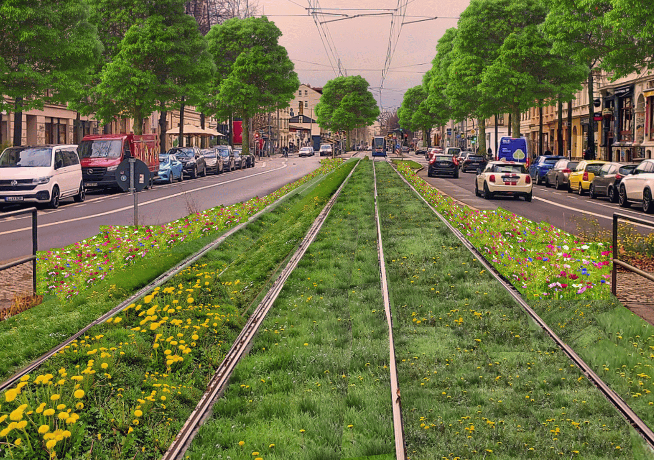 Visualisierung Rasengleis Karli Ökolöwe