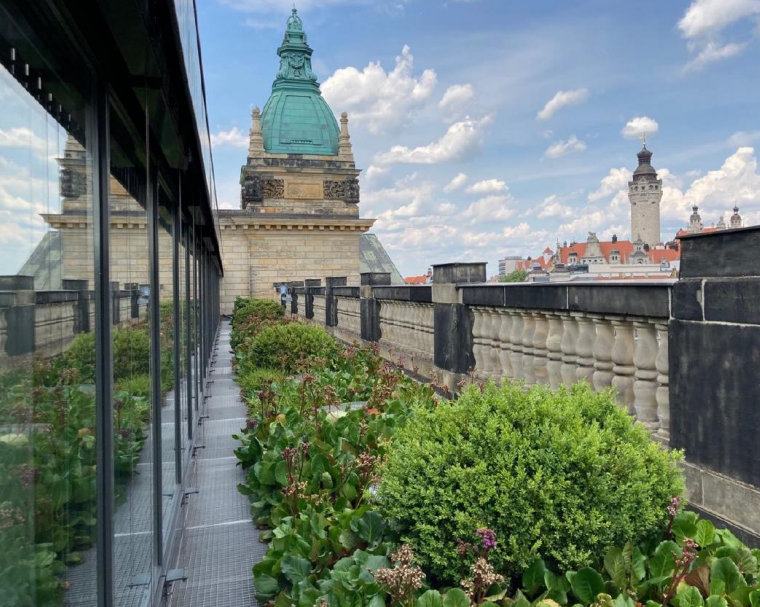 Auf dem grünen Dach des Bundesverwaltungsgerichts wachsen ausdauernde Stauden, Gräser und einzelne Gehölze