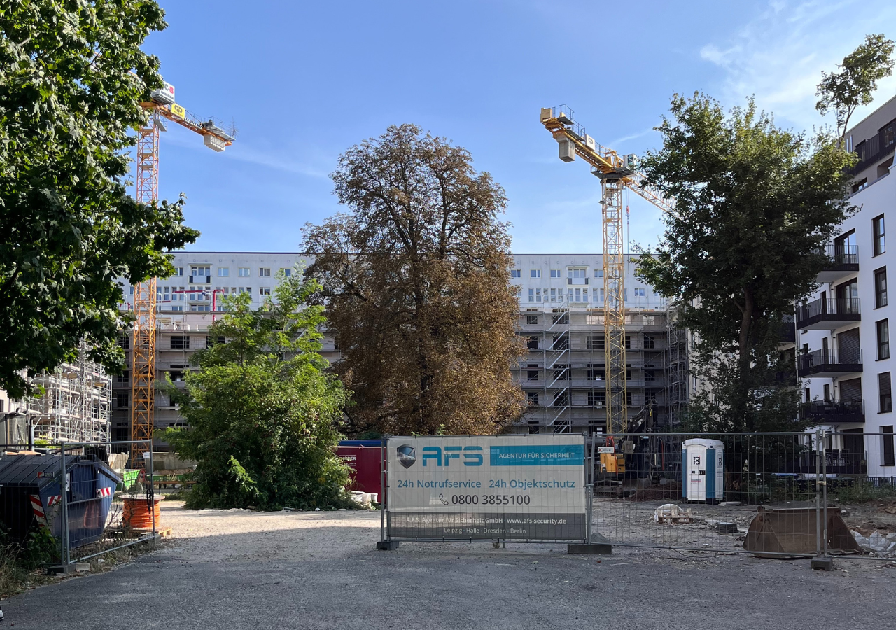 Das Bild zeigt eine ehemaligen Grünfläche in der Ferdinand-Rhode-Straße.