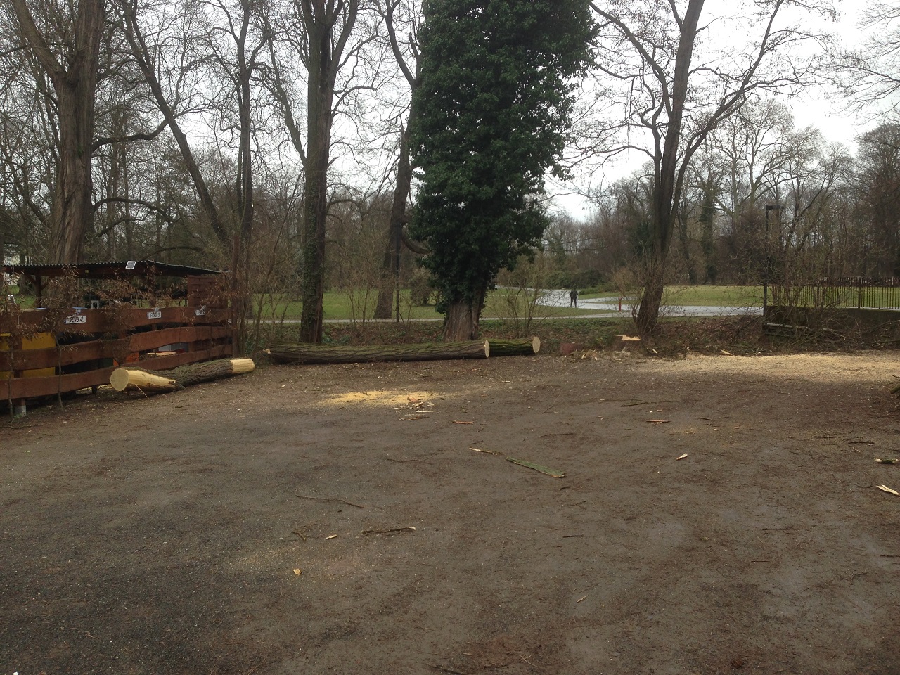 gerodete Fläche im Kees'schen Park hinter 'Brot & Kees'