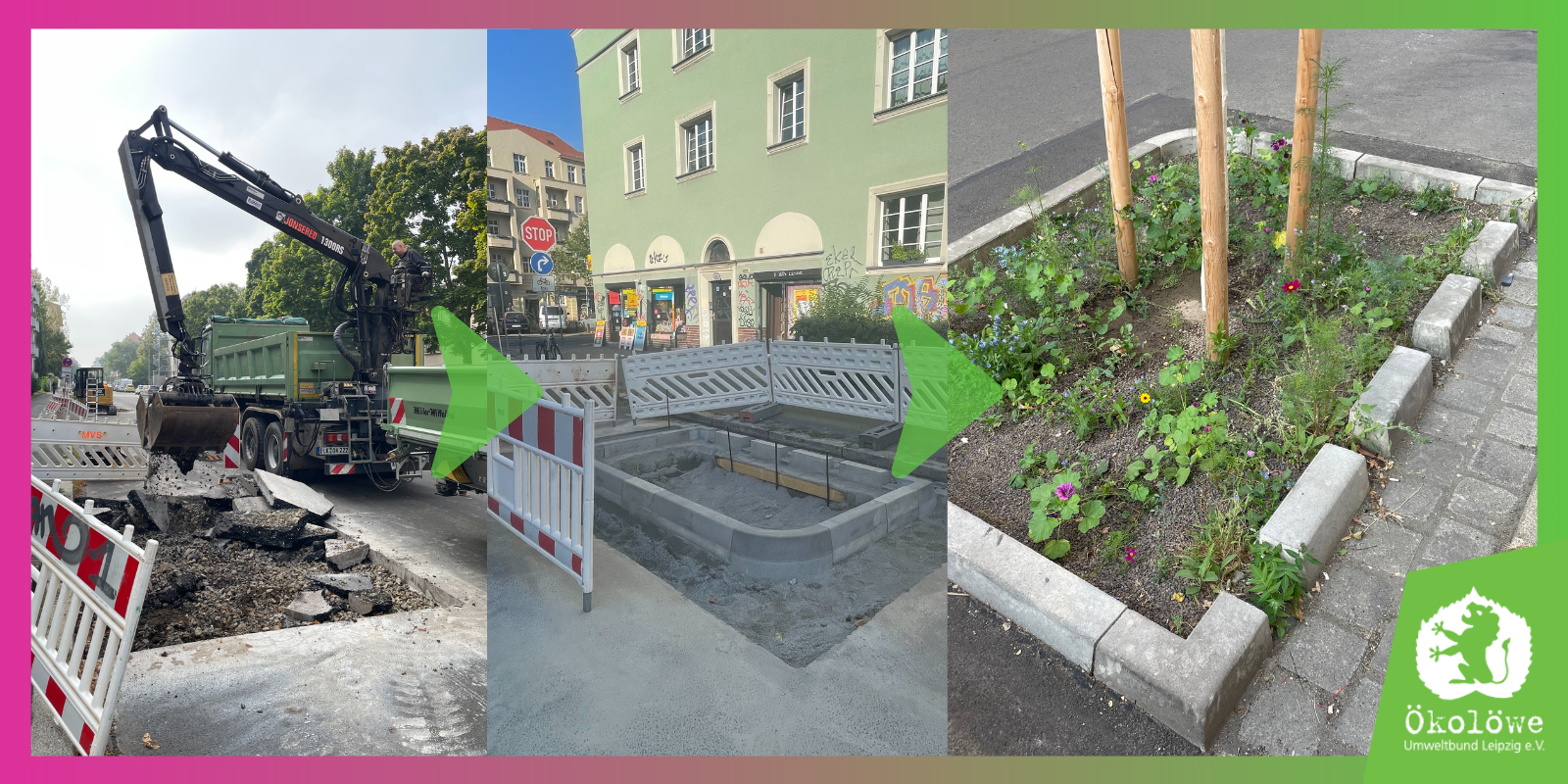 Von Asphalt zur nachhaltigen Baumscheibe