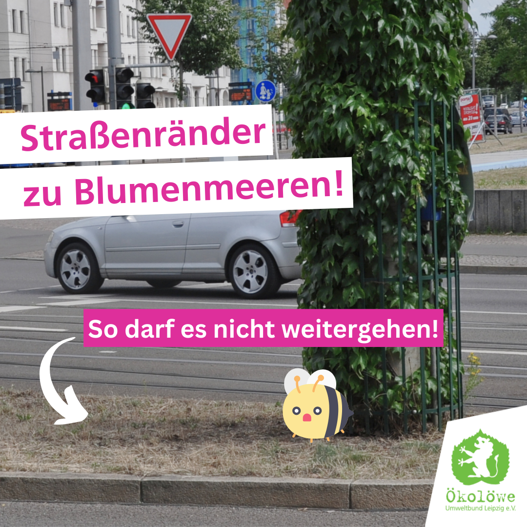Straßenränder zu Blumenmeeren