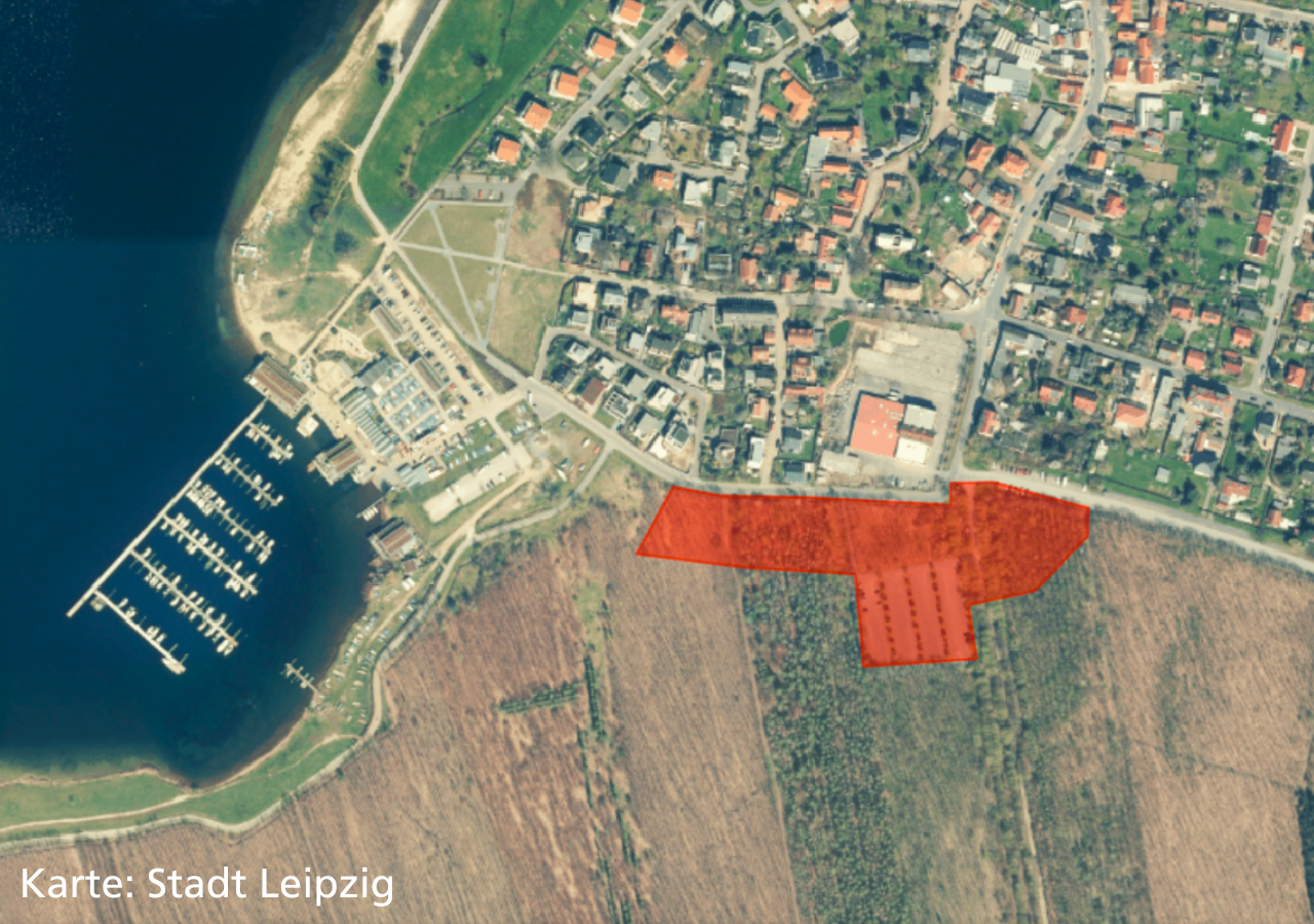 Rodung Wald für neuen Parkplatz am Cospudener See