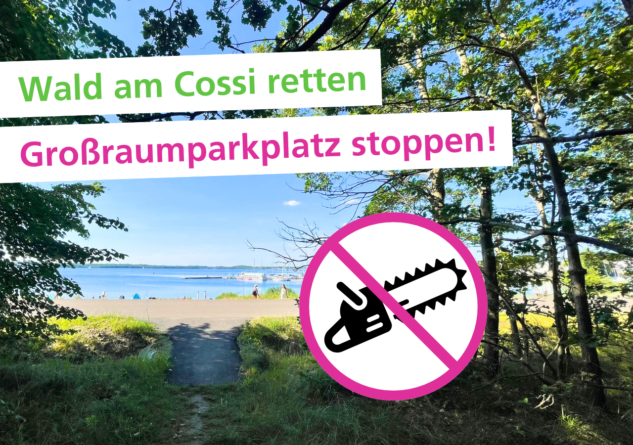 Ökolöwe stellt sich gegen die geplante Waldvernichtung am Cospudener See.