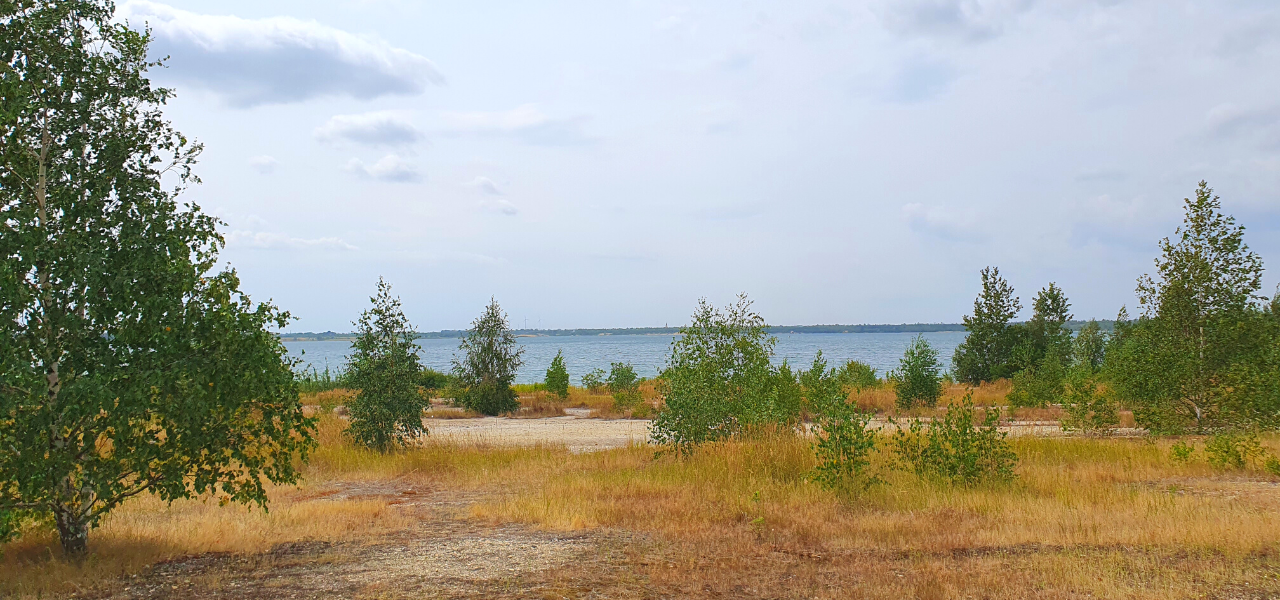 Nordufer des Zwenkauer Sees