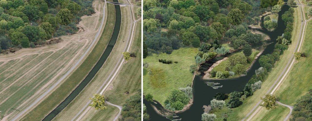 Die Rettung des Leipziger Auwaldes