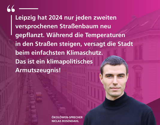 Leipzig Pflanzt zu wenig Straßenbäume